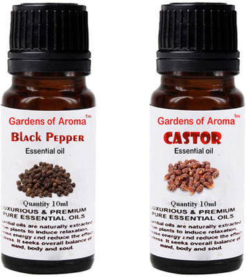 

Gardens Of Aroma Black Pepper And Castor(20 ml)