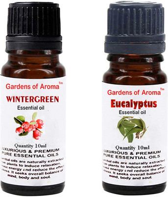 

Gardens Of Aroma Wintergreen And Eucalyptus(20 ml)