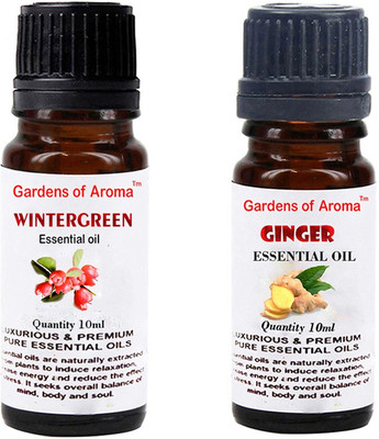 

Gardens Of Aroma Wintergreen And Ginger(20 ml)
