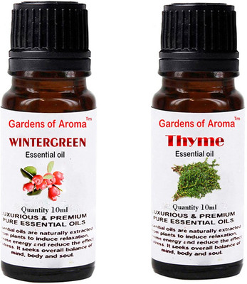 

Gardens Of Aroma Wintergreen And Thyme(20 ml)