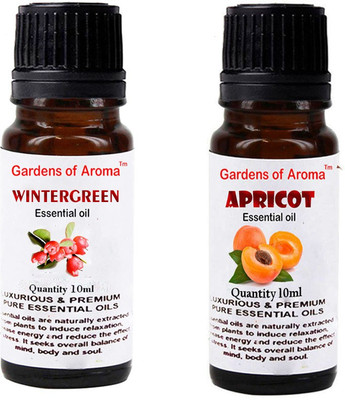 

Gardens Of Aroma Wintergreen And Apricot(20 ml)