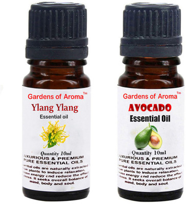 

Gardens Of Aroma Ylang Ylang And Avocado(20 ml)
