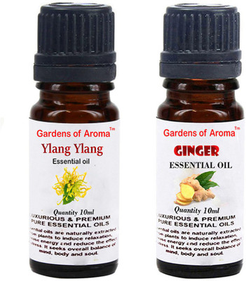 

Gardens Of Aroma Ylang Ylang And Ginger(20 ml)
