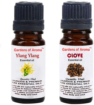 

Gardens Of Aroma Ylang Ylang And Clove(20 ml)