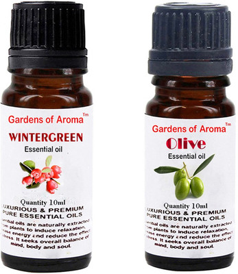 

Gardens Of Aroma Wintergreen And Olive(20 ml)