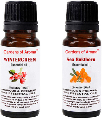 

Gardens Of Aroma Wintergreen And Seabukthorn(20 ml)