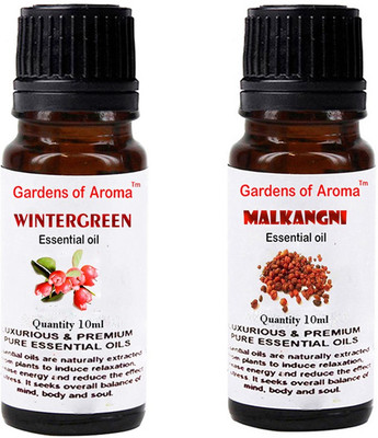 Gardens Of Aroma Wintergreen And Malkangani(20 ml)