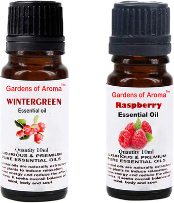 

Gardens Of Aroma Wintergreen And Raspberry(20 ml)