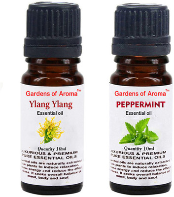 

Gardens Of Aroma Ylang Ylang And Peppermint(20 ml)