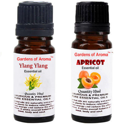

Gardens Of Aroma Ylang Ylang And Apricot(20 ml)
