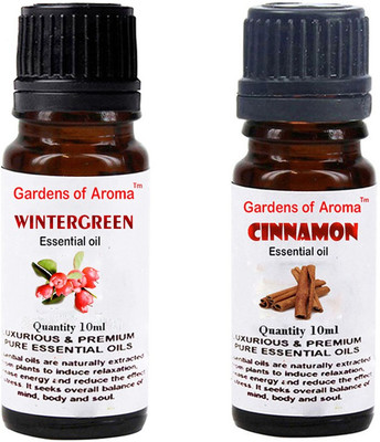 

Gardens Of Aroma Wintergreen And Cinnamon(20 ml)