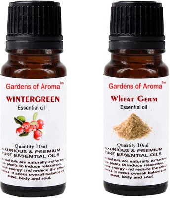 

Gardens Of Aroma Wintergreen And Wheatgerm(20 ml)