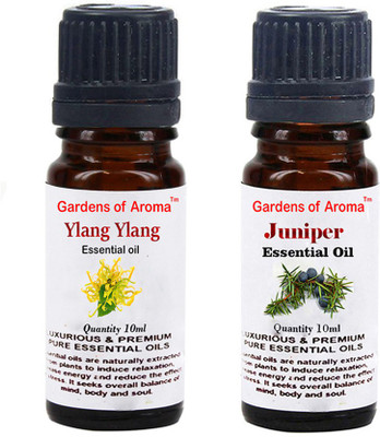 

Gardens Of Aroma Ylang Ylang And Juniper(20 ml)