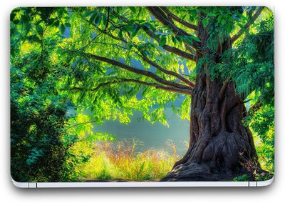 

Flipkart SmartBuy Gorgeous Green 8 Vinyl Laptop Skin (3M/Avery Vinyl, Matte Laminated, 15 x 10 inches) Vinyl Laptop Decal 15.6