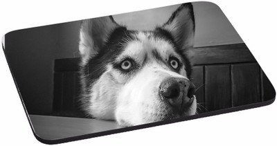 

PRINTHUBS Painting Designer | Printed Mouse Pad | High Quality Waterproof Coating Gaming Mouse Pad (Multicolor) -148 Mousepad Mousepad(Multicolor)