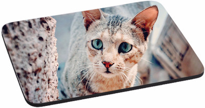 

PRINTHUBS Painting Designer | Printed Mouse Pad | High Quality Waterproof Coating Gaming Mouse Pad (Multicolor) -147 Mousepad Mousepad(Multicolor)