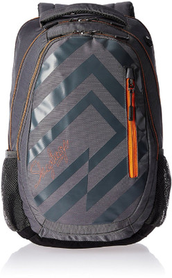 

Skybags GEO03-GRY 21 L Backpack(Grey)