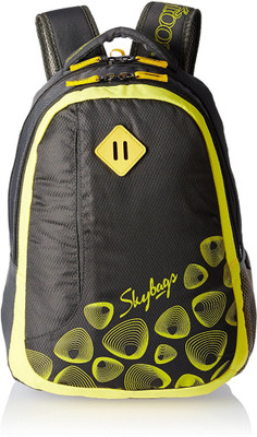 

Skybags BPLEO2GRY 20 L Backpack(Grey)