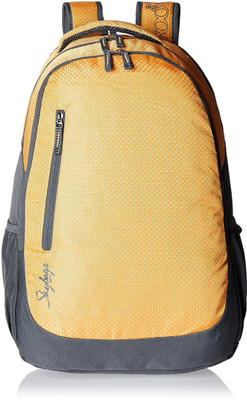 

Skybags BPBLIFS3GRY 20 L Backpack(Grey)