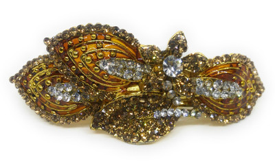 

Khubsurat Back Pin Back Pin(Gold)