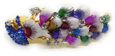 

Khubsurat Back Pin Back Pin(Multicolor)