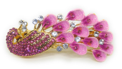 

Khubsurat Back Pin Back Pin(Gold, Pink)