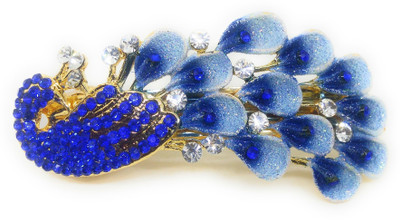 

Khubsurat Back Pin Back Pin(Gold, Blue)