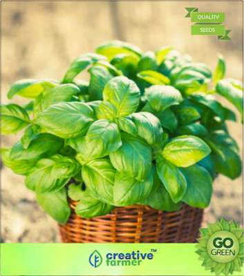 

Creative Farmer Italian Heirloom Genovese Basil Seeds Seed(20 per packet)