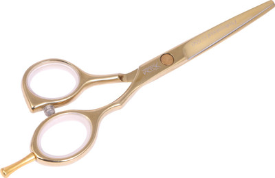 

XSDM PRO HAIR CUTTING SCISSOR GOLD PROFESSIONAL G-550 Scissors(Set of 1, Golden)