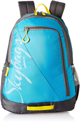 

Skybags GROOVE 5 SCHOOL 23 L Backpack(Blue, Grey)