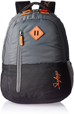 

Skybags BPLEO3GRY 26 L Backpack(Grey)