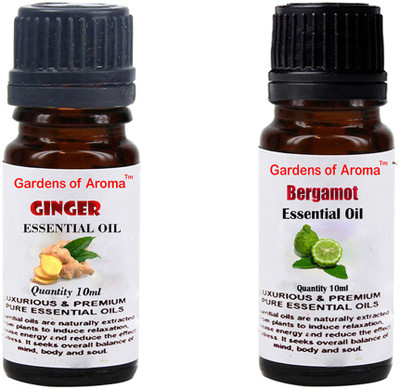 

Gardens Of Aroma Ginger And Bergamot(20 ml)