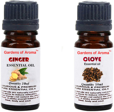 

Gardens Of Aroma Ginger And Clove(20 ml)