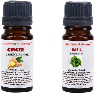 

Gardens Of Aroma Ginger And Basil(20 ml)