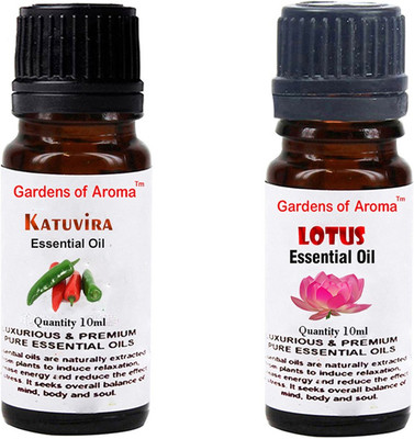 

Gardens Of Aroma Katuvira And Lotus(20 ml)