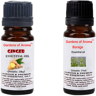 

Gardens Of Aroma Ginger And Borage(20 ml)