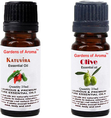 

Gardens Of Aroma Katuvira And Olive(20 ml)