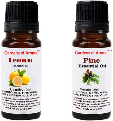 

Gardens Of Aroma Lemon And Pine(20 ml)
