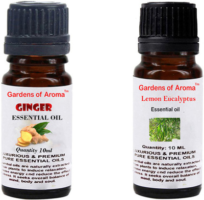 

Gardens Of Aroma Ginger And Lemon eucalyptus(20 ml)