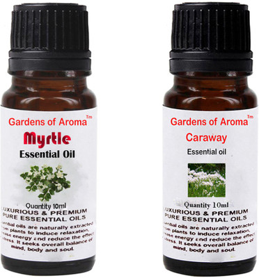 

Gardens Of Aroma Myrtle And Caraway(20 ml)