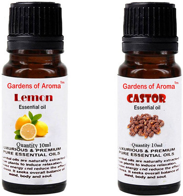 

Gardens Of Aroma Lemon And Castor(20 ml)