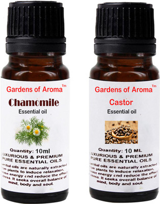 

Gardens Of Aroma Chamomile And Castor(20 ml)