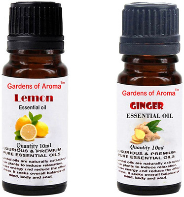 Gardens Of Aroma Lemon And Ginger(20 ml)