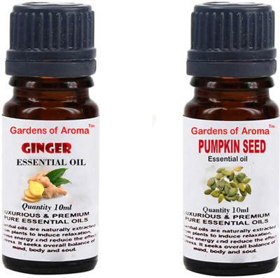 

Gardens Of Aroma Ginger And Pumkinseed(20 ml)