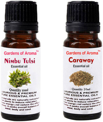 

Gardens Of Aroma Nimbu Tulsi And Caraway(20 ml)