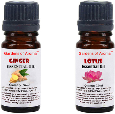 

Gardens Of Aroma Ginger And Lotus(20 ml)