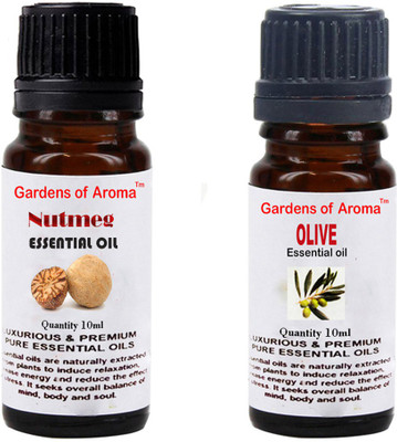 

Gardens Of Aroma Nutmeg And Olive(20 ml)