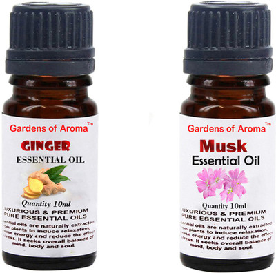 

Gardens Of Aroma Ginger And Musk(20 ml)
