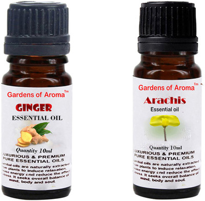 

Gardens Of Aroma Ginger And Arachis(20 ml)