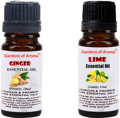 

Gardens Of Aroma Ginger And Lime(20 ml)